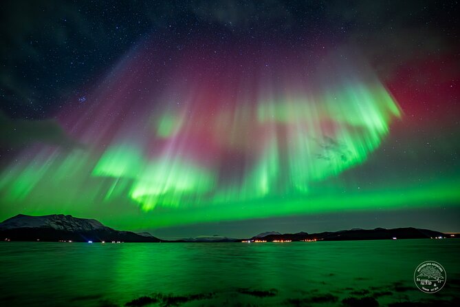 Small Group Van Journey in Search of the Northern Lights - Stop 1: Tromsø Fjords, Then the Hunt Adjusts to the Sky