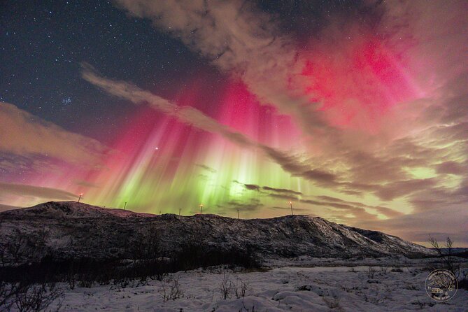 Small Group Van Journey in Search of the Northern Lights - Included vs Not Included, and the Stuff That Actually Affects Your Night