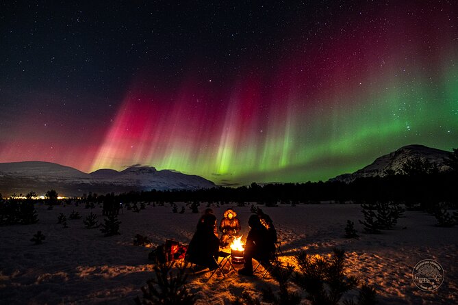 Small Group Van Journey in Search of the Northern Lights - The Drive from Tromsø: Fjords Nearby, Sometimes Finland Farther