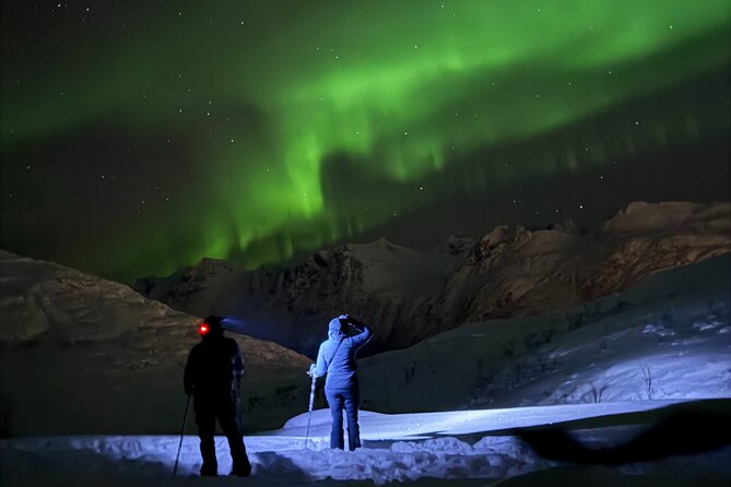 Snowshoe Expedition with Local Guides in Artic Terrain - Key things that make this snowshoe tour worth your time