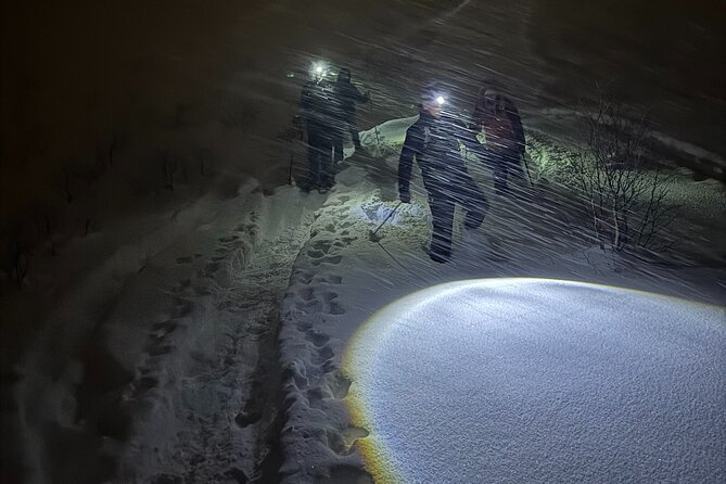 Snowshoe Expedition with Local Guides in Artic Terrain - Gear matters in Arctic snow, and this tour does the basics right