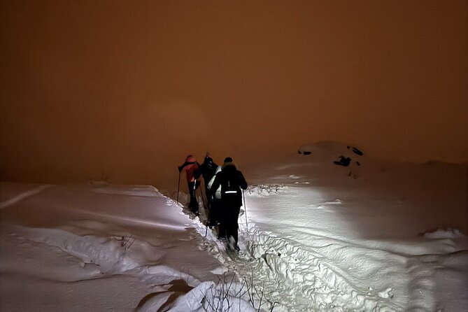 Snowshoe Expedition with Local Guides in Artic Terrain - From Tromsø to the summit: how the hike actually flows
