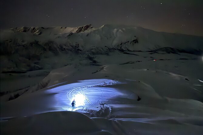 Snowshoe Expedition with Local Guides in Artic Terrain - Transportation and meeting point: simple, central, and flexible