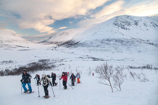 Snowshoe Hill Hike in Tromsø - Key highlights to know before you go
