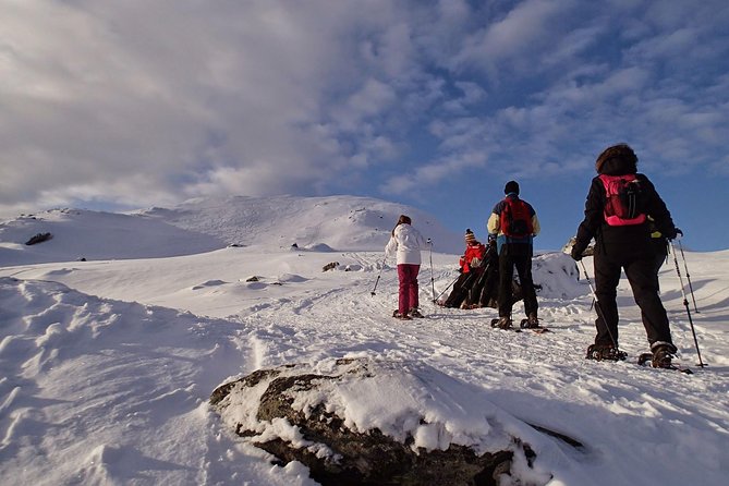Snowshoe Hill Hike in Tromsø - Gear and warm-up: snowshoes included, lesson first, snack later
