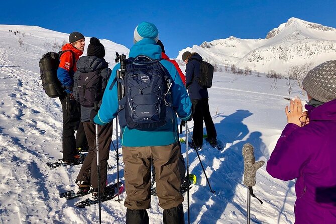 Snowshoe Hill Hike in Tromsø - The hike to a summit around 400 m: pacing, views, and planned rests