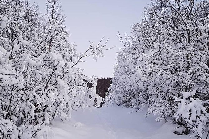 Snowshoeing With A View - Key things that make this snowshoe trip worth your time