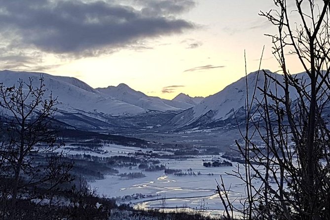 Snowshoeing With A View - The guide experience: small group pace and photo-friendly moments