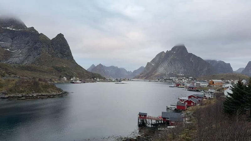 Svolvær: Lofoten Islands Full-Day Guided Tour - Key things I’d plan around before you go