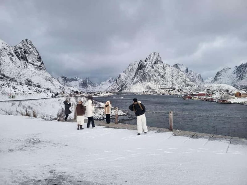 Svolvær: Lofoten Islands Full-Day Guided Tour - FAQ