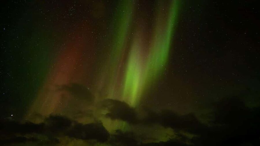 Svolvær: Northern Lights Tour with Hot Drinks & Photos - How the guide finds aurora conditions using live forecasts and flexible routing