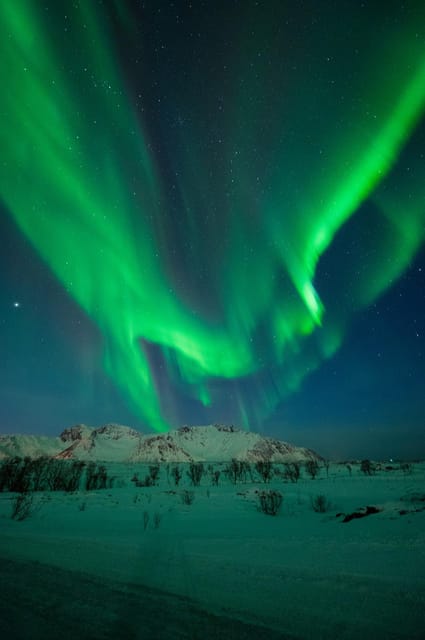 Svolvær: Ultimate Aurora Hunt - The hunt stops when the sky changes, and you learn why that matters