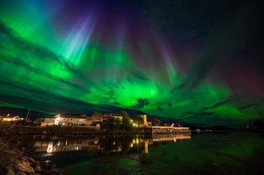 Svolvær: Ultimate Aurora Hunt - Bonus moments: stars, legends, and wildlife that sometimes appears