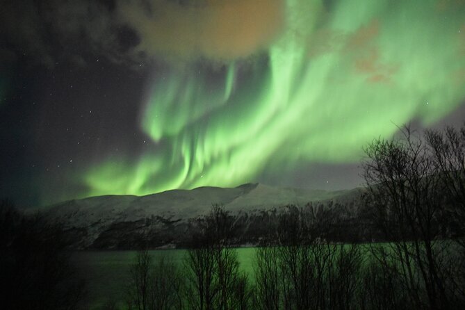 The Aurora Tour - small group, northern lights - Should you book this Aurora Tour?