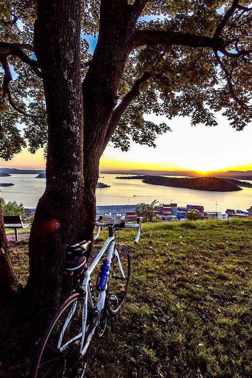 The Grand Oslo Ride: E-bike Experience - Who should book this Oslo e-bike ride