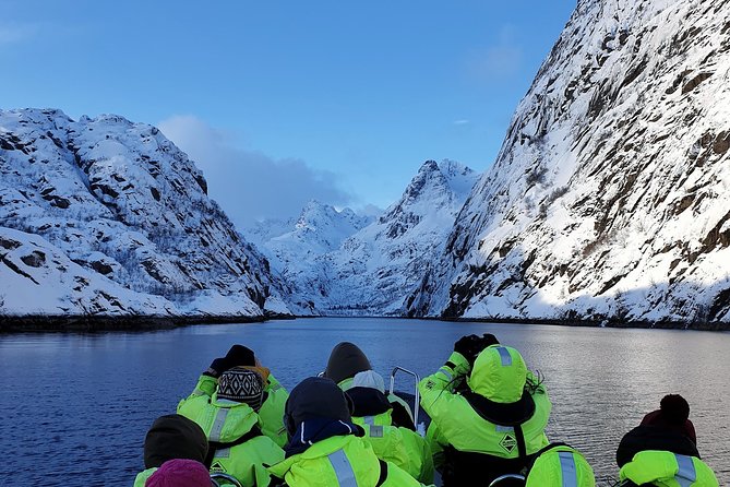 Trollfjord and Sea Eagle Safari Tour from Svolvaer - RIB Ride From Svolvær: A Short Trip With Real Motion
