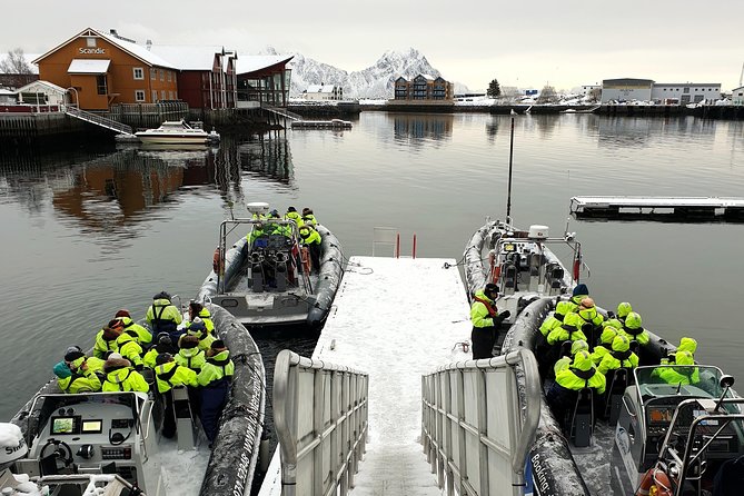 Trollfjord and Sea Eagle Safari Tour from Svolvaer - What the Timing and Group Size Mean for Your Experience