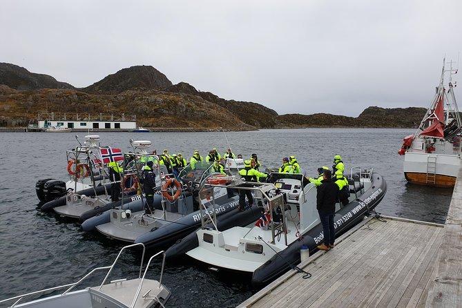 Trollfjord and Sea Eagle Safari Tour from Svolvaer - Price and Value: Is $139.81 Worth It?