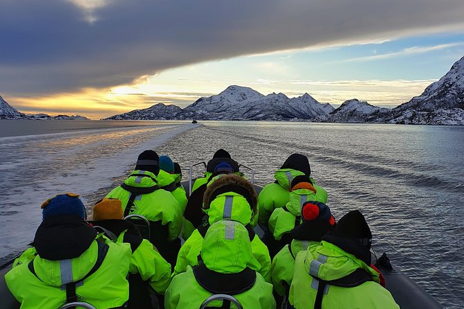 Trollfjord and Sea Eagle Safari Tour from Svolvaer - Captain and Guide Stories: The Part That Makes It Click