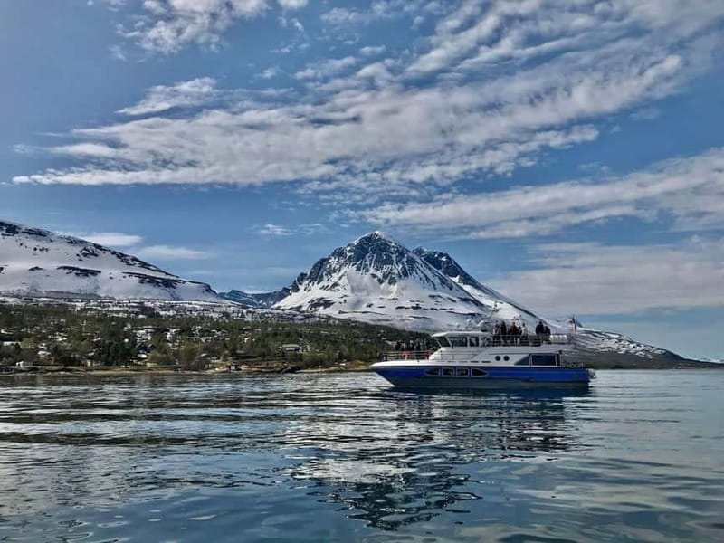 Tromsø: 2-Hour Island Tour Cruise - Quick Key Points Before You Go