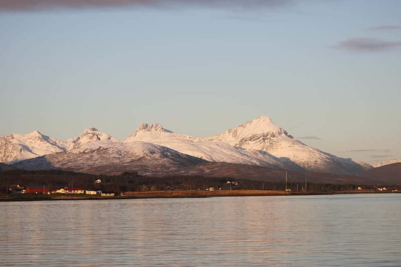 Tromsø: 2-Hour Island Tour Cruise - What Happens During the Cruise: The Island Loop in Real Terms