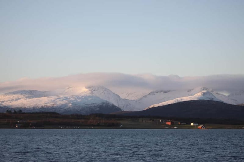 Tromsø: 2-Hour Island Tour Cruise - Warm Saloons, Hot Drinks, and Cookies That Make Cold Weather Manageable