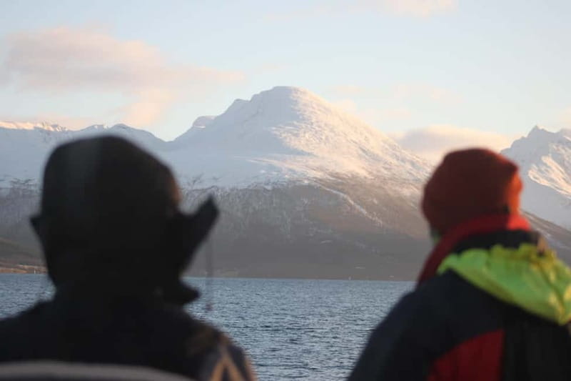 Tromsø: 2-Hour Island Tour Cruise - Is It Worth $62? Value Check for Two Hours at Sea
