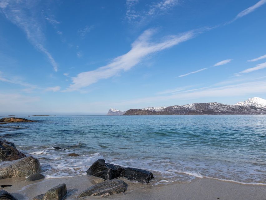 Tromso: All-Inclusive Arctic Fjords and Sommarøy Scenic Tour - How the Kvaløya and Sommarøy loop makes a half-day feel complete