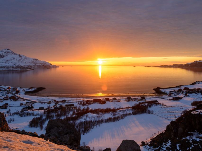 Tromso: All-Inclusive Arctic Fjords and Sommarøy Scenic Tour - Getting around in a Mercedes Sprinter: comfort plus guided eyes