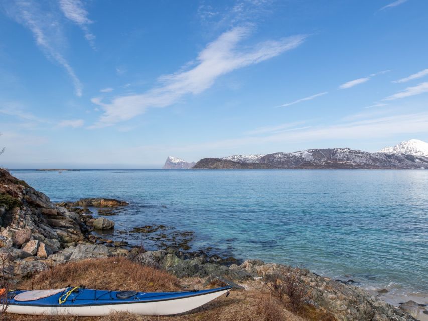 Tromso: All-Inclusive Arctic Fjords and Sommarøy Scenic Tour - Kvaløya: fjord viewpoints, beaches, and the wildlife scan
