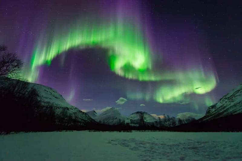 Tromsø: All inclusive Aurora Hunt with photos, food & drinks - Price and what you get for your $220