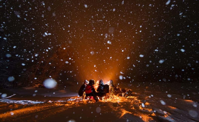Tromsø: All inclusive Aurora Hunt with photos, food & drinks - Dinner by the campfire: vegan soup, hot chocolate, and warm breaks