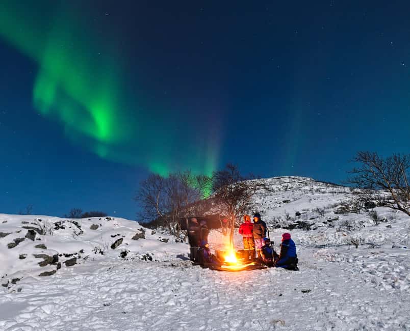 Tromsø: All-Inclusive Northern Lights Hunt - Heated Mercedes transport, stops, and why timing matters