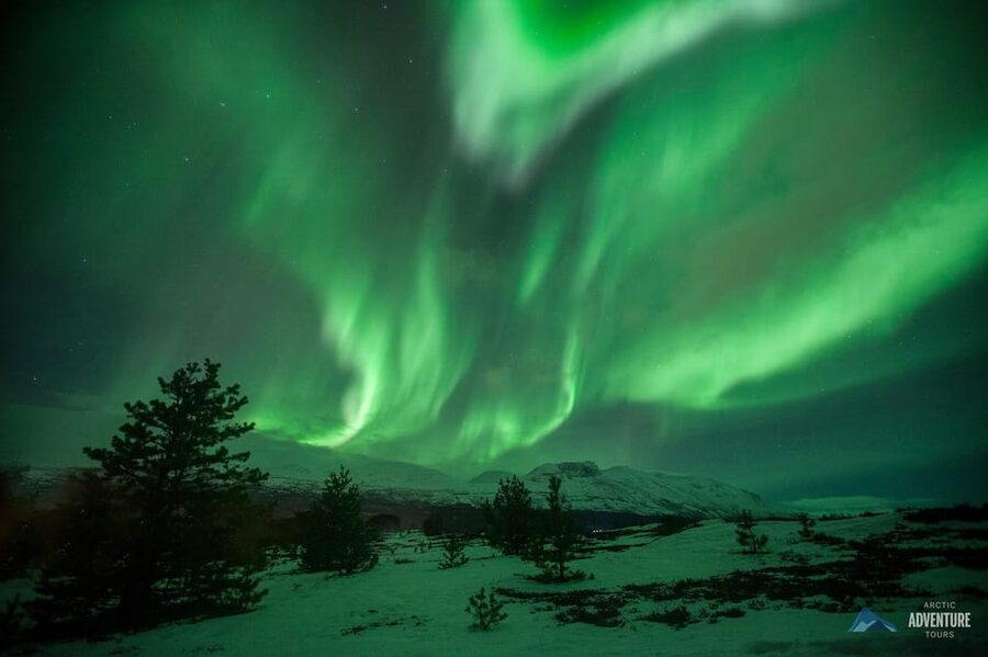 Tromsø: All-Inclusive Northern Lights Hunt - Aurora photography help, plus tripods and free photos after