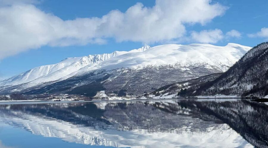 Tromsø: Arctic Fjord Cruise & Fishing Experience - Why This Tromsø Arctic Winter Cruise Feels Like a Safari, Not a Shuttle