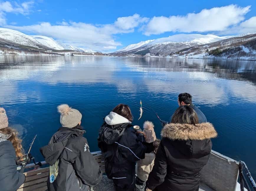 Tromsø: Arctic Fjord Cruise & Fishing Experience - The Meeting Point and Start Time That Keeps Your Day Simple