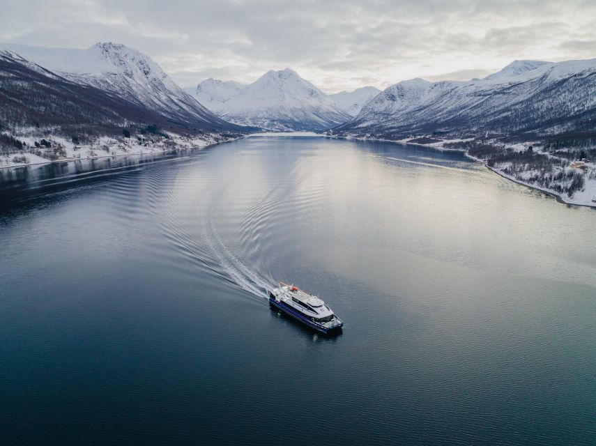 Tromsø: Arctic Fjord Cruise in Polar Landscapes - Route Flexibility When the Fjord Has Ice