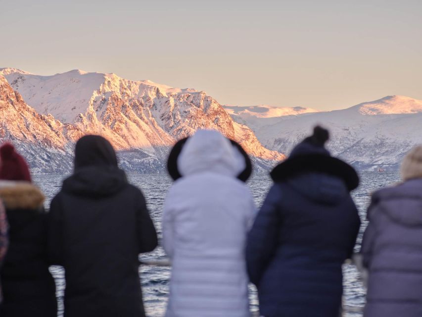 Tromsø: Arctic Fjord Cruise in Polar Landscapes - Who This Cruise Fits Best