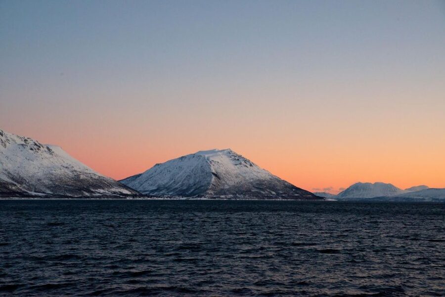 Tromsø: Arctic Fjord Cruise in Polar Landscapes - From the Nerstranda Pier to Tromsø’s Arctic Cathedral Views