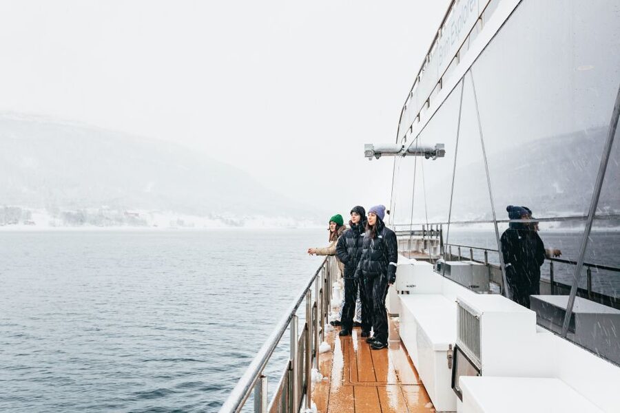 Tromsø: Arctic Fjord Cruise With Stop On Land At Fish Racks - Silent sailing on a hybrid-electric catamaran (and why that matters)