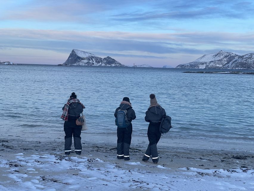 Tromsø: Arctic fjord sightseeing, Reindeer feeding and lunch - The lavvo by the fire: joiking, hot drinks, and Sámi stories