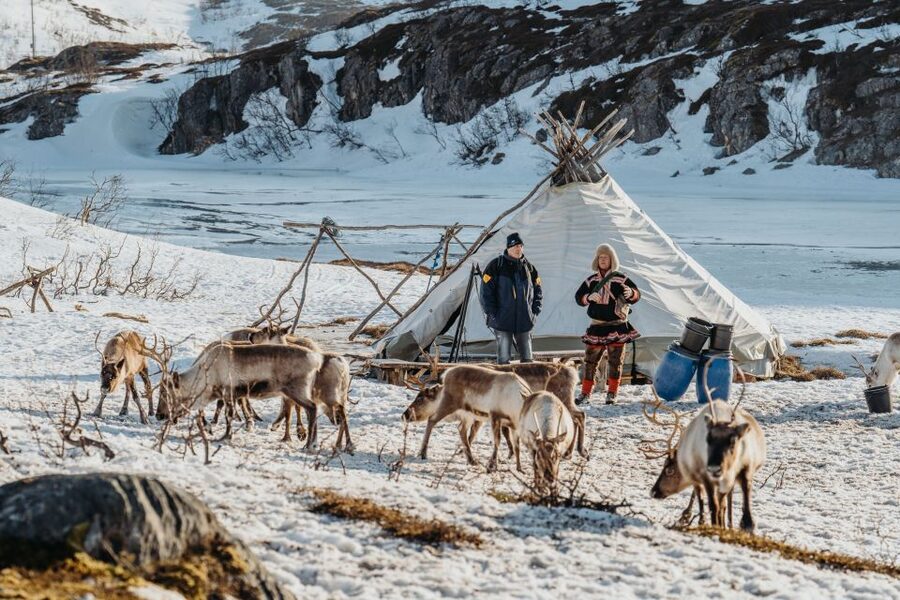 Tromsø: Arctic fjord sightseeing, Reindeer feeding and lunch - What to wear and bring so the cold doesn’t ruin your day