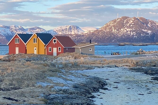 Tromsø Arctic Fjords Adventure Tour with Local Lunch - Key highlights to know before you go