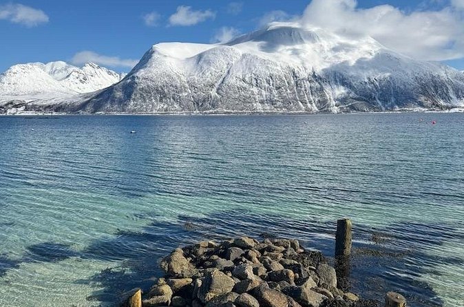 Tromsø Arctic Fjords Adventure Tour with Local Lunch - Ersfjordbotn: more views, more Arctic flora and fauna clues
