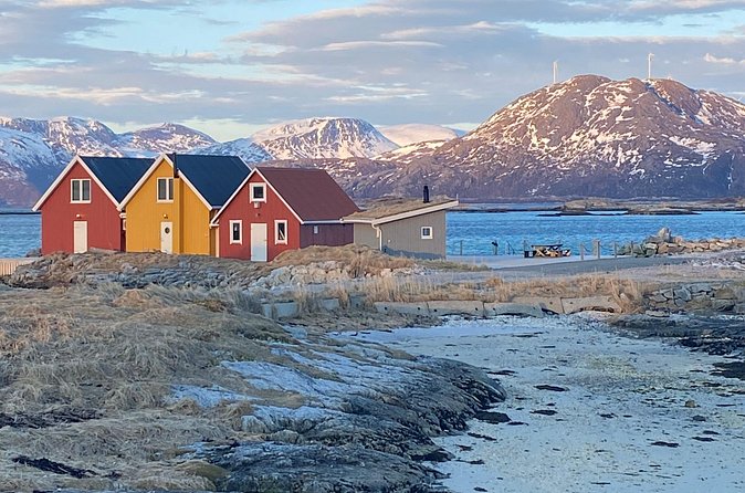 Tromsø Arctic Fjords Adventure Tour with Local Lunch - The guide experience: why small-group matters more than you think