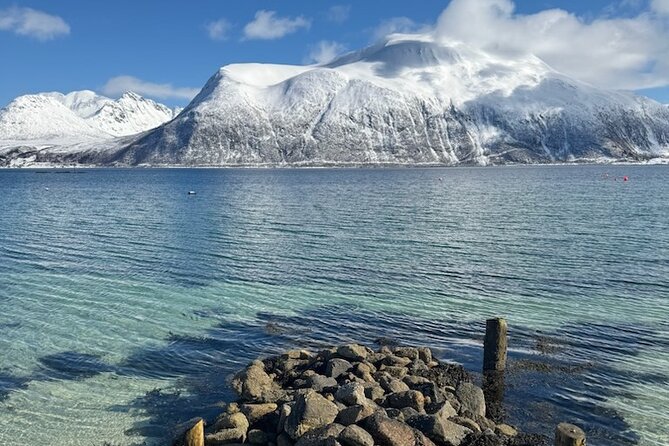 Tromsø Arctic Fjords Adventure Tour with Local Lunch - Wildlife spotting, without the fantasy promises