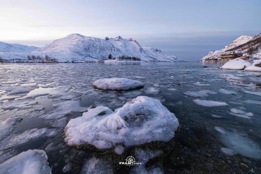 Tromsø: Arctic Fjords Tour to Kvaløya with Panoramic Lunch - The scenic drive segments: photo stops that happen on purpose