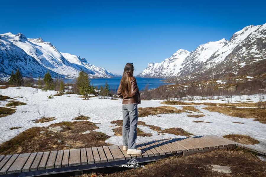 Tromsø: Arctic Fjords Tour to Kvaløya with Panoramic Lunch - The 5-hour van rhythm, and why it works