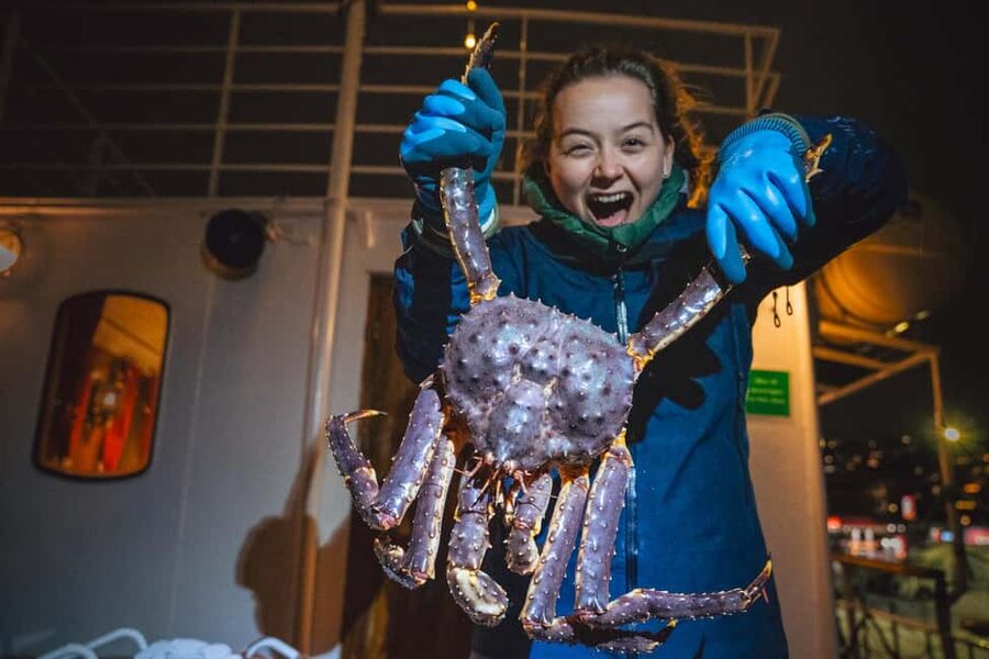 Tromsø: Arctic king crab cruise with self-captured lunch - Key highlights to know before you go