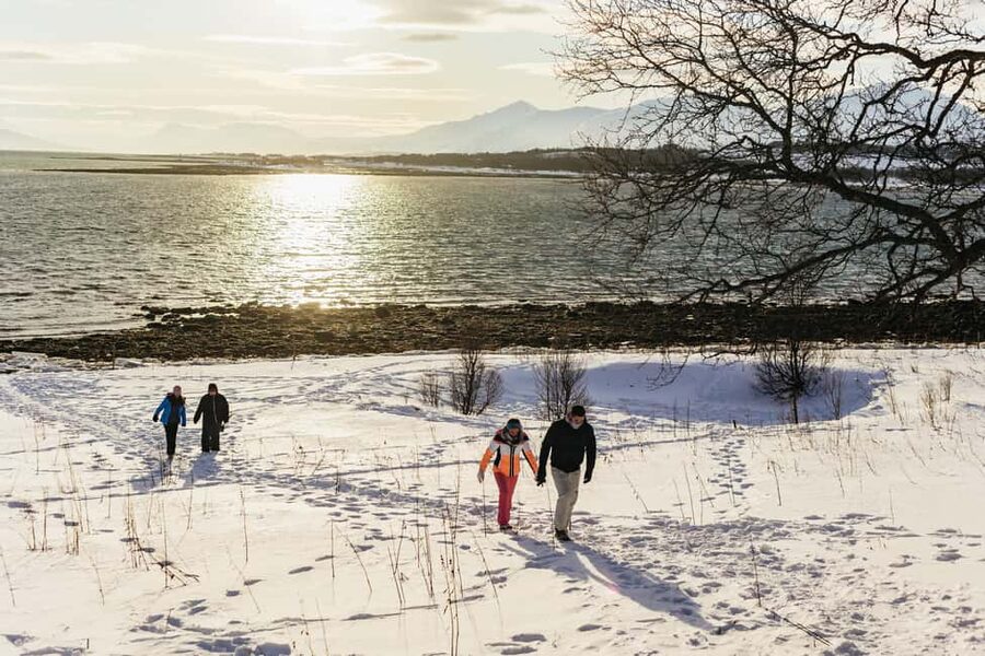 Tromsø: Arctic Landscape and Fjord Tour with Snacks - Transport Comfort, Timing, and the Reality of Winter Logistics